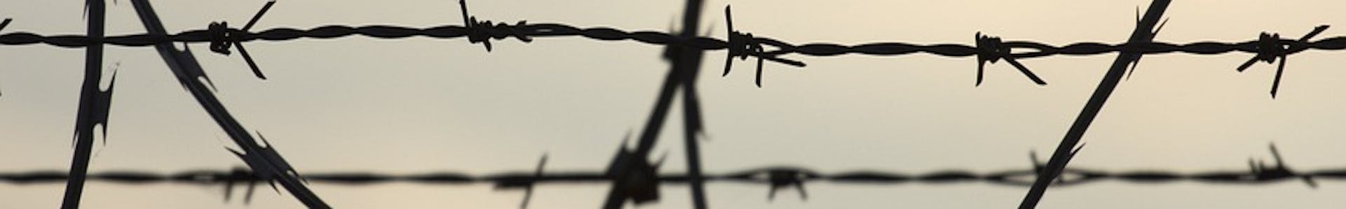 Barbed wire - citizenship deprivation